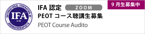 bana_peot202409_Auditor.ai_IFA