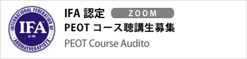 bana_peot202409_Auditor.ai_IFA_B