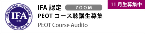 bana_peot202411_Auditor.ai_IFA